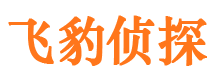 忠县市侦探调查公司